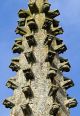 Les églises fortifiées de l’Artois