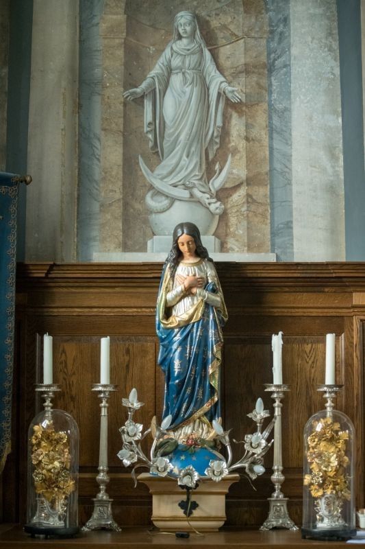 Wat als we met ons mooi Mariabeeld nog eens konden meestappen in één of andere processie?