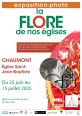 Die Flora in den Kirchen